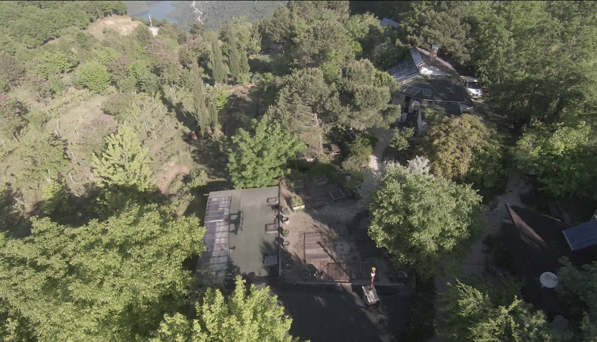 Aerial view of Belentepe Farm: young staked tree terraces on the left slope, mature closed food-forest canopy through the centre and right, with garden beds, a greenhouse and solar panels among the trees